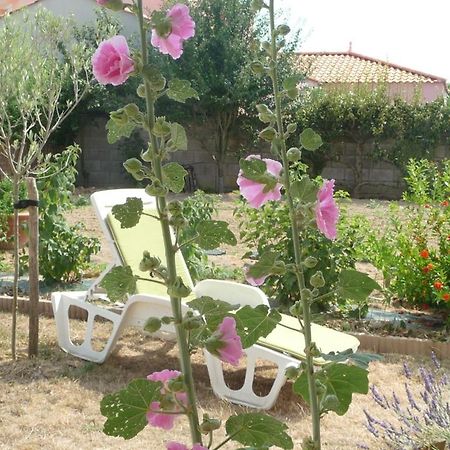 Chambre D'Hote Fleur De Potager Les Sables-dʼOlonne Exteriér fotografie