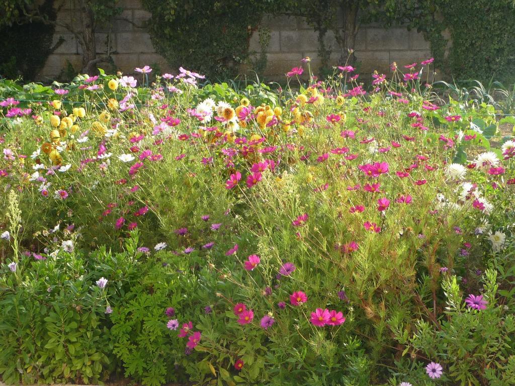 Chambre D'Hote Fleur De Potager Les Sables-dʼOlonne Exteriér fotografie