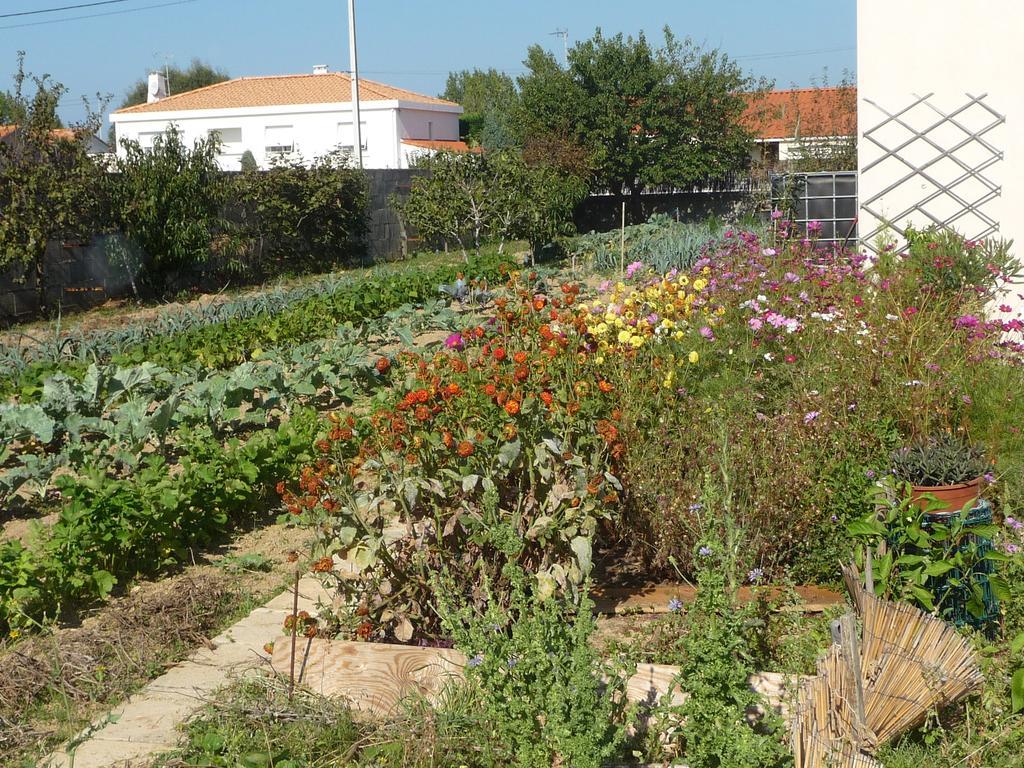 Chambre D'Hote Fleur De Potager Les Sables-dʼOlonne Exteriér fotografie